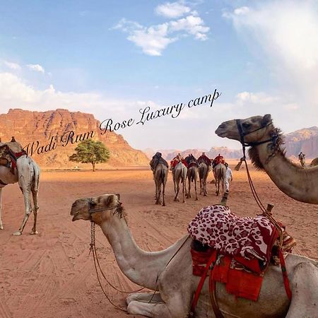 Wadi Rum Rose Luxury Camp Exterior foto