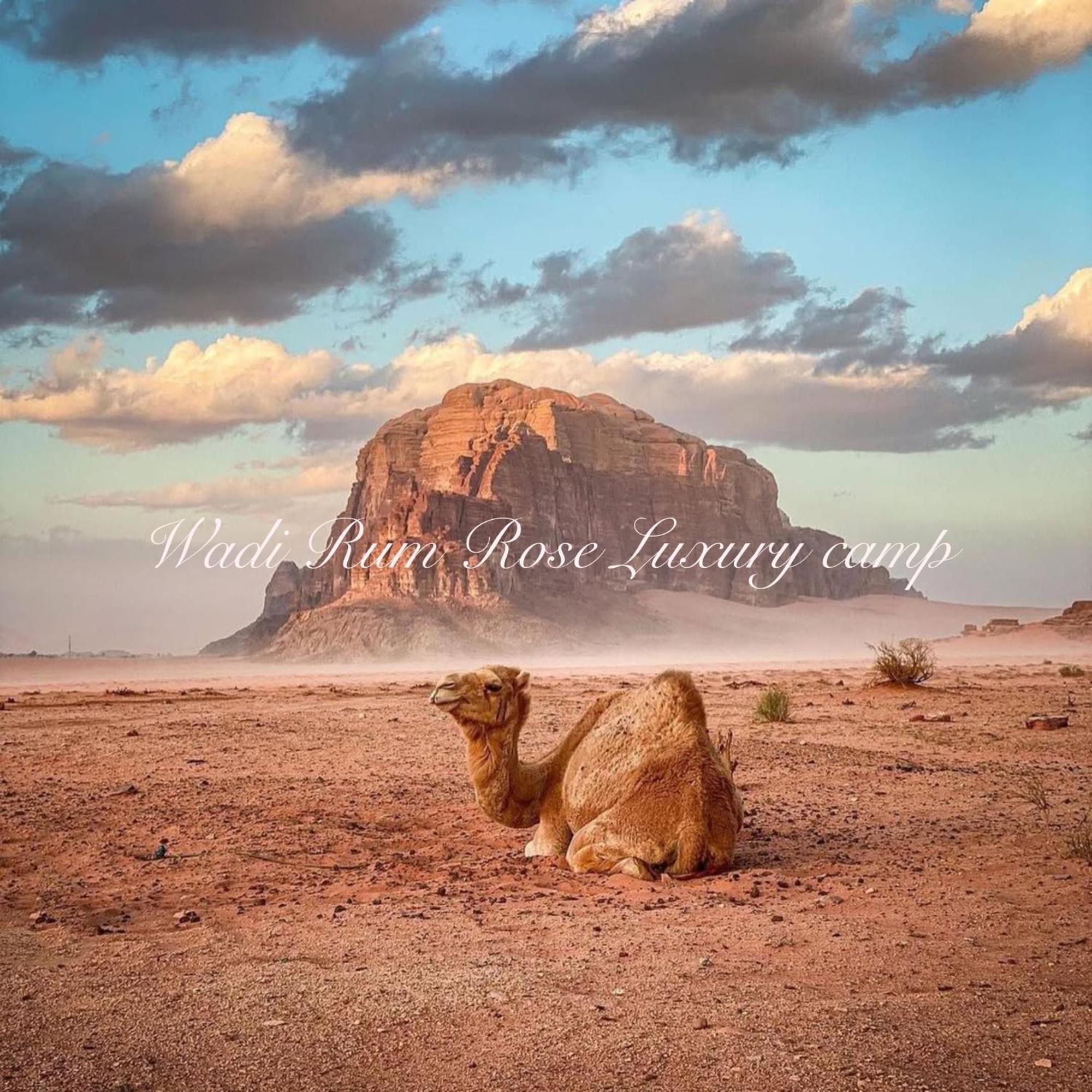 Wadi Rum Rose Luxury Camp Exterior foto
