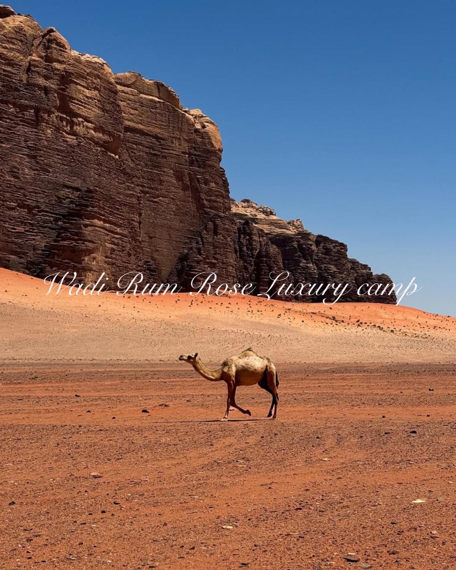 Wadi Rum Rose Luxury Camp Exterior foto