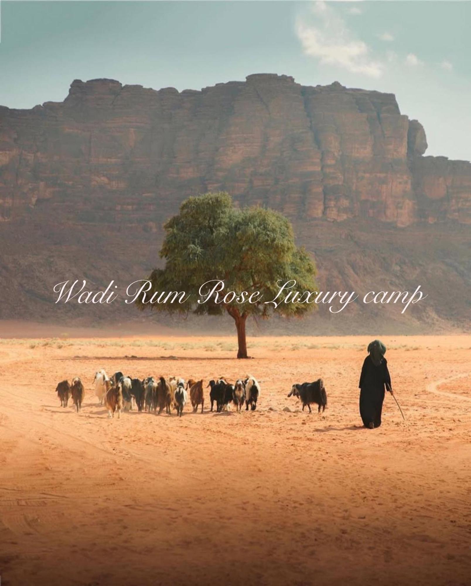 Wadi Rum Rose Luxury Camp Exterior foto