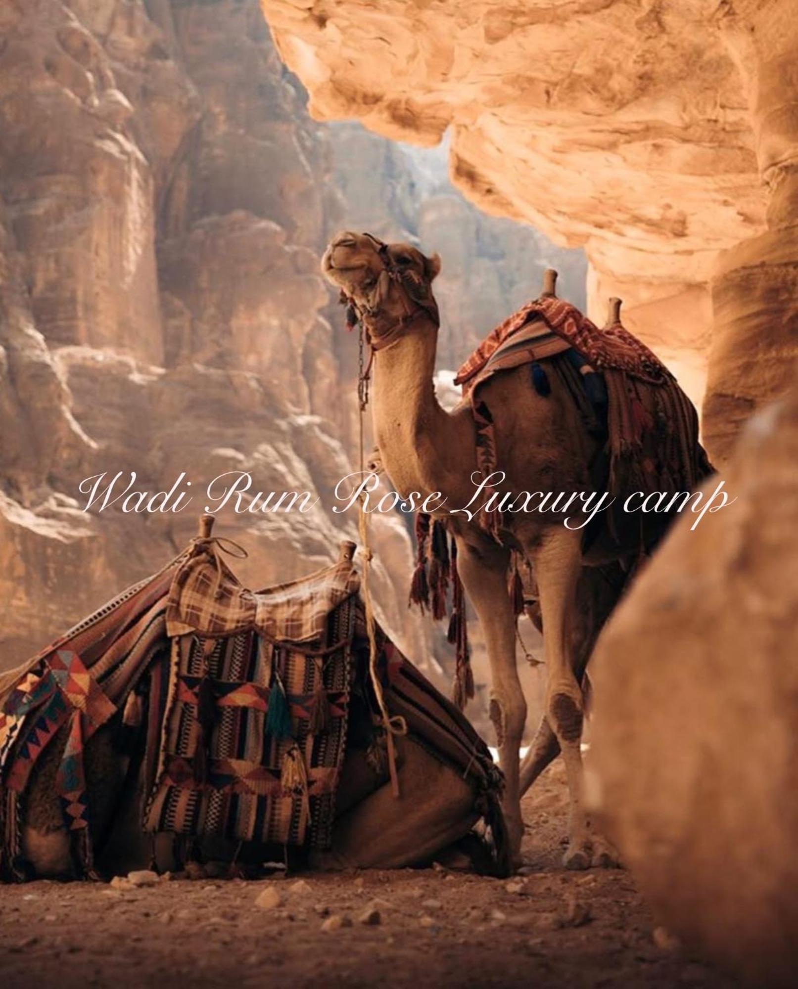 Wadi Rum Rose Luxury Camp Exterior foto